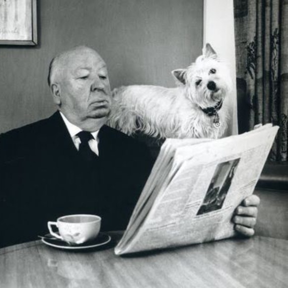 BLACK & WHITES - Picture 7 of 8